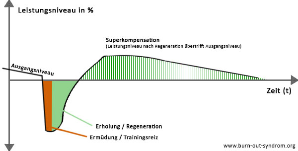 Superkompensation in der Trainingslehre